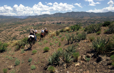 USA-New Mexico-Gila Wilderness Nature Expedition